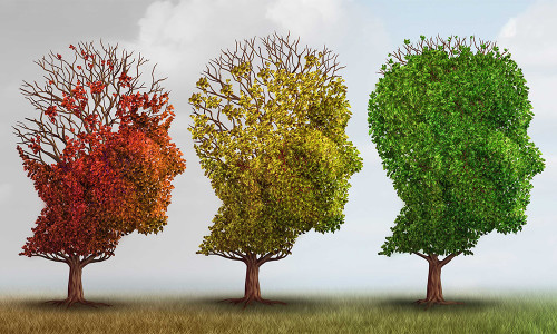 ASTAXANTHIN BENEFITS HELPS PREVENT ALZHEIMER’S