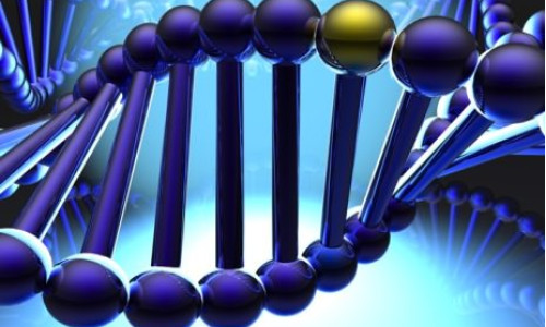 HUMAN GENS AND INFORMATION