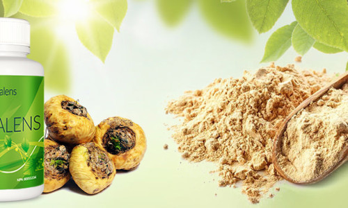MACA FOR WOMEN